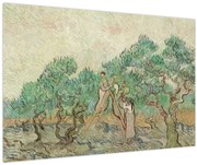 Kép - Vincent van Gogh, The Olive Orchard, reprodukciók (90x60 cm)