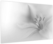 Kép - Delicate Lily (90x60 cm)