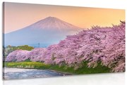 Kép japán Fuji vulkán