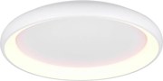 Trio CARDONA 649617531 Plafonlámpa 1x59w/led 2300+3000+4000k 6900lm ip20