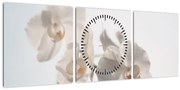 Fehér orchidea képe (órával) (90x30 cm)