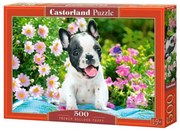 Castorland 500 db-os puzzle - Francia bulldog kölyök