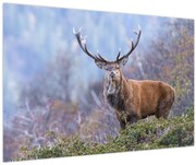 Kép - Szarvasok a tájban (90x60 cm)