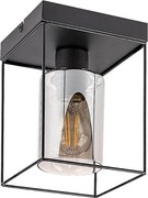 Rabalux 71031 - Mennyezeti lámpa CHADWICK 1xE27/25W/230V