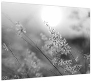 Kép - Őszi rét (70x50 cm)