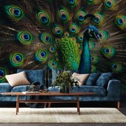 Fotótapéta - Páva (147x102 cm)