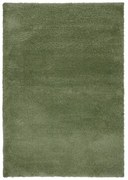 Zöld szőnyeg 160x230 cm – Flair Rugs