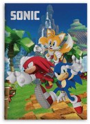 Sonic a sündisznó polár takaró team 100x140cm