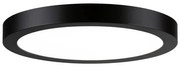 Paulmann Paulmann 71025 - LED/22W Mennyezeti lámpa ABIA 230V fekete W2963