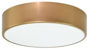 Fürdőszobai mennyezeti lámpa CLEO 2xE27/24W/230V á. 30 cm arany IP54