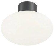 Ideal Lux kültéri mennyezeti lámpa CLIO 1xE27/42W/230V IP44 antracit