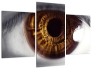 Kép - Szem (90x60 cm)