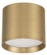 Ziaza LED mennyezeti spotlámpa