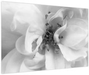 Kép - Virág, fekete-fehér (90x60 cm)