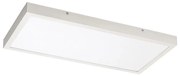 Rabalux Rabalux 71077 - LED Felületre szerelhető panel DAMEK LED/24W/230V 4000K 60x30 cm RL71077