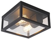 Ipari mennyezeti lámpa fekete IP44 2-lámpás - Charlois