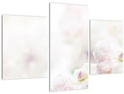 Kép a finom virágok (90x60 cm)