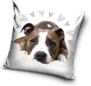 Kutyás Pit Bull Terrier Cute párnahuzat 40x40 cm