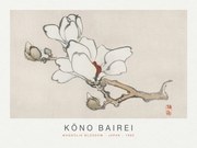 Reprodukció Magnolia Blossom (Special Edition Japandi) - Kōno Bairei