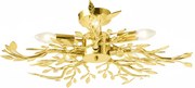 Toolight Rea, Mennyezeti lámpa EBT022-5C GOLD, OSW-01221