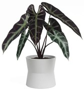 Kerámia virágcserép ø 14 cm Diana – Artevasi