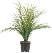 Cserepes Művirág 45 cm ARECA PALM Beliani
