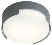 Redo 90003 - LED Kültéri mennyezeti lámpa SKOR LED/12W/230V IP54 szürke