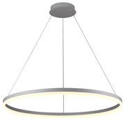 Brilagi -LED Dimmelhető csillár zsinóron CIRCLE LED/55W/230V 3000-6500K ezüst + távirányító