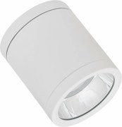 Ledvance DL Surface IP65 Dn 90 P 15W 4000K 1650lm 36° fehér, robusztus Led lámpa