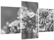 Kép - Szárított virágok (90x60 cm)