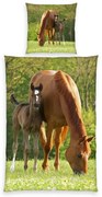 Herding Gyermek pamut ágynemű Horse , 135 x 200cm, 80 x 80 cm