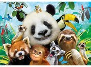 Üdv a dzsungelben fa puzzle