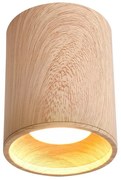 Candellux Mennyezeti lámpa TUBA GU10/15W/230V CA0404