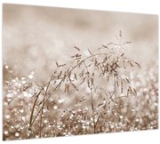 Kép - rét barna árnyalatokban (70x50 cm)