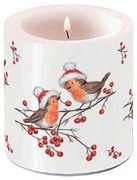 Karácsonyi átvilágítós gyertya két vörösbegy madárral kicsi
