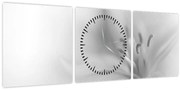 Kép - Delicate Lily (órával) (90x30 cm)
