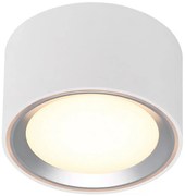 Nordlux - LED Dimmelhető mennyezeti lámpa FALLON LED/5,5W/230V