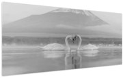 Kép - Szerelmes hattyúk (120x50 cm)