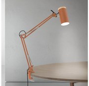 Orion - GILI csíptetős asztali lámpa 1xE27/40W/230V, téglavörös
