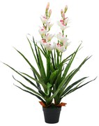 zöld, cserepes műcsónakorchidea 100 cm