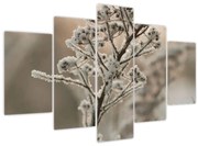 Kép - Növény fagyban (150x105 cm)