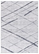 Világosszürke szőnyeg 200x290 cm Class – Universal