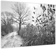 Kép - Mezők télen (70x50 cm)