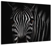 Zebra képe (70x50 cm)