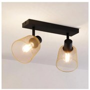 Eglo 900694 - Spotlámpa COSLADA 2xE27/40W/230V