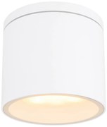 Globo ALCALA 32063W kültéri mennyezetlámpa, 1x7W GX53, IP44
