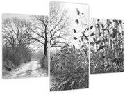 Kép - Mezők télen (90x60 cm)