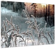 Kép - Fagyott rét (70x50 cm)