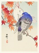 Reprodukció Two Pigeons, Ohara Koson