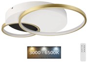 Dimmelhető mennyezeti lámpa BENITO LED/31W/230V 3000-6500K fehér/arany